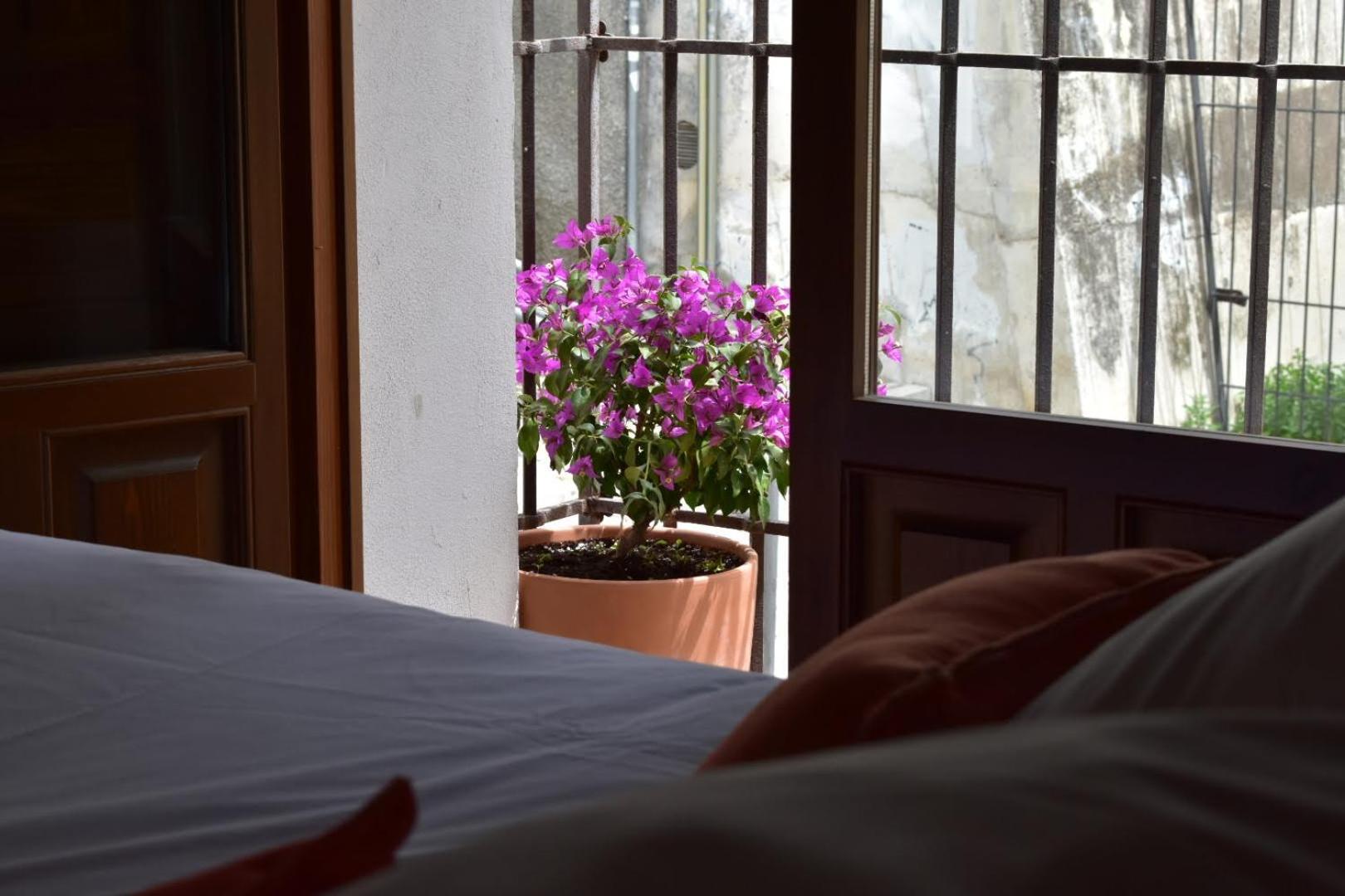 Apartamentos Alhambra Granada Dış mekan fotoğraf
